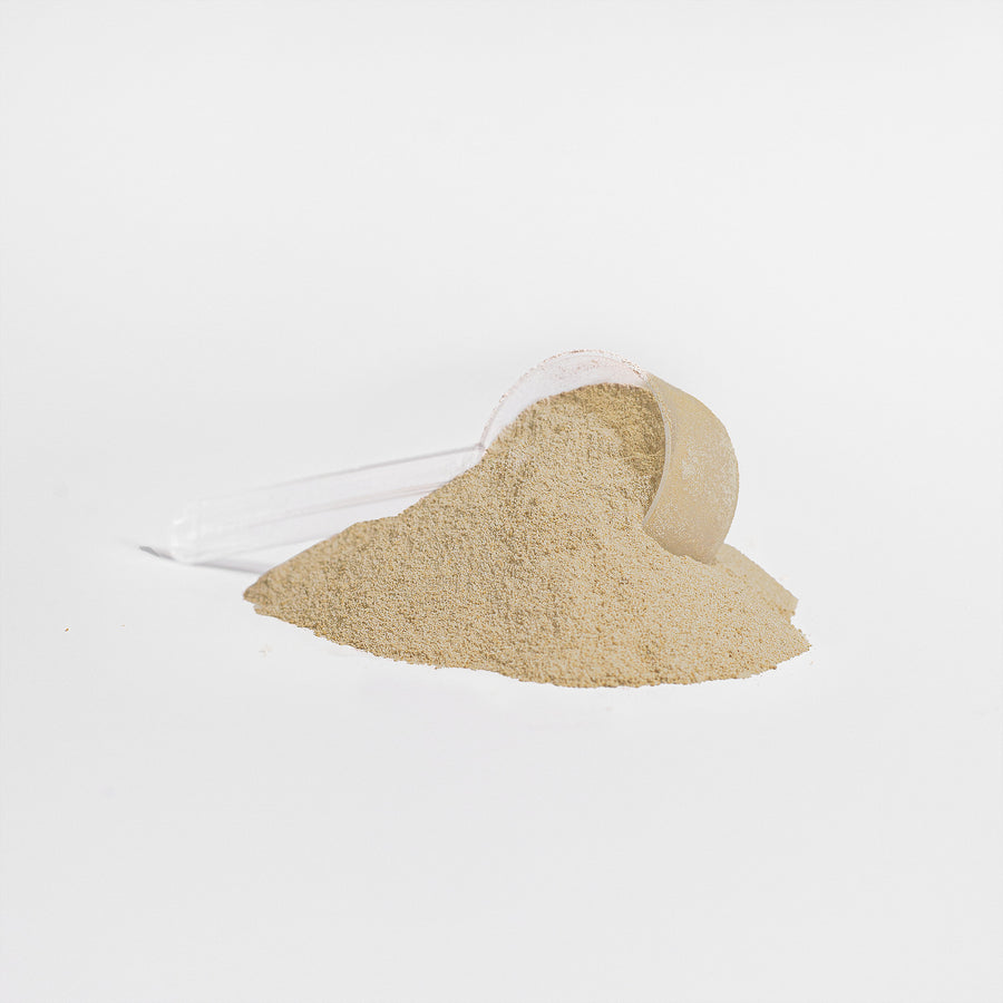15 PACK BUNDLE: ADVANCED 100% WHEY PROTEIN ISOLATE (Vanilla)