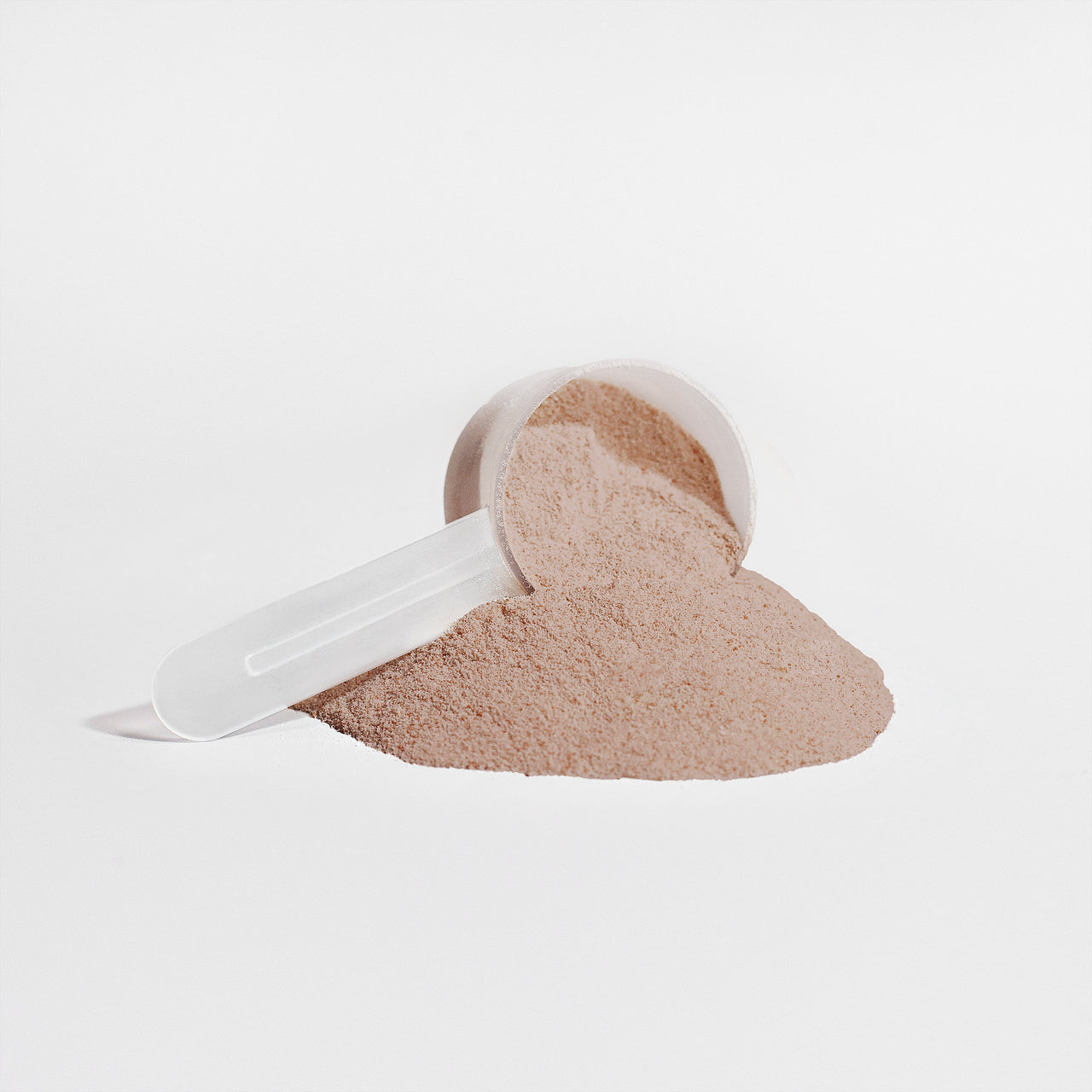 15 PACK BUNDLE: PLANT PROTEIN (Chocolate)