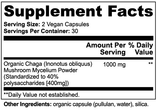 CHAGA MUSHROOM
