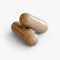 Thumbnail for LIVER SUPPORT